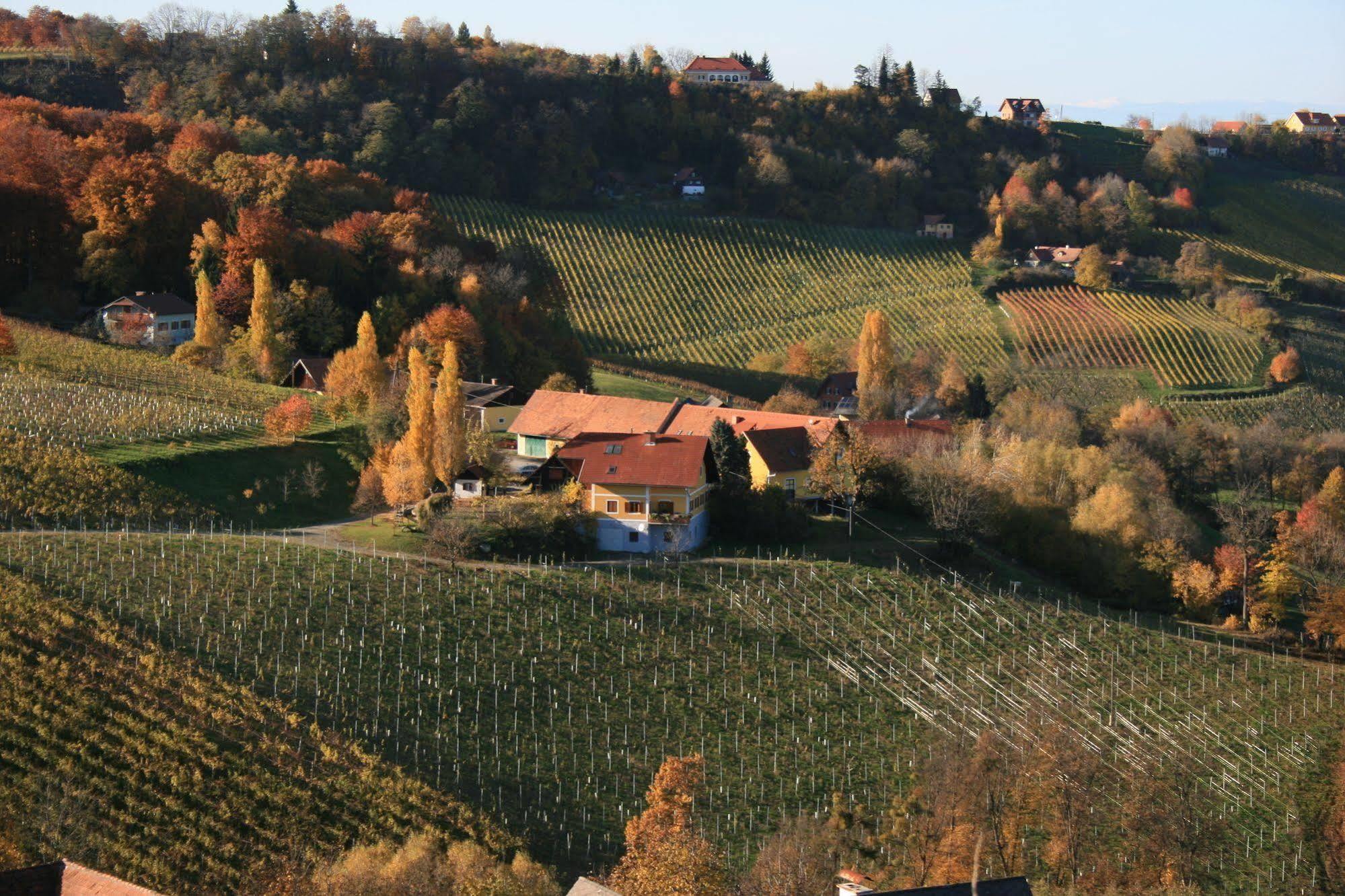 Weingut Primus Suedsteiermark シュピールフェルト エクステリア 写真