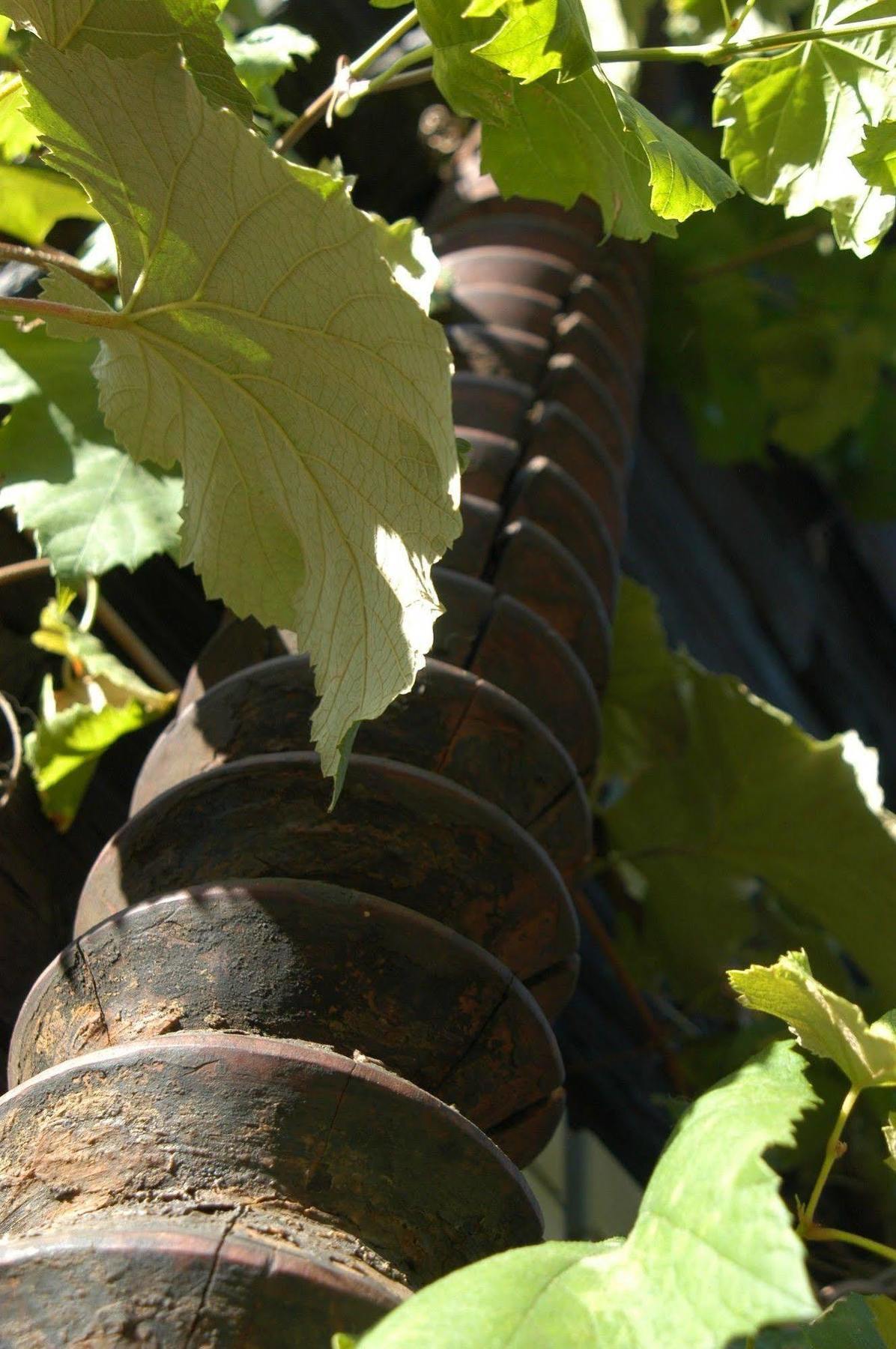 Weingut Primus Suedsteiermark シュピールフェルト エクステリア 写真