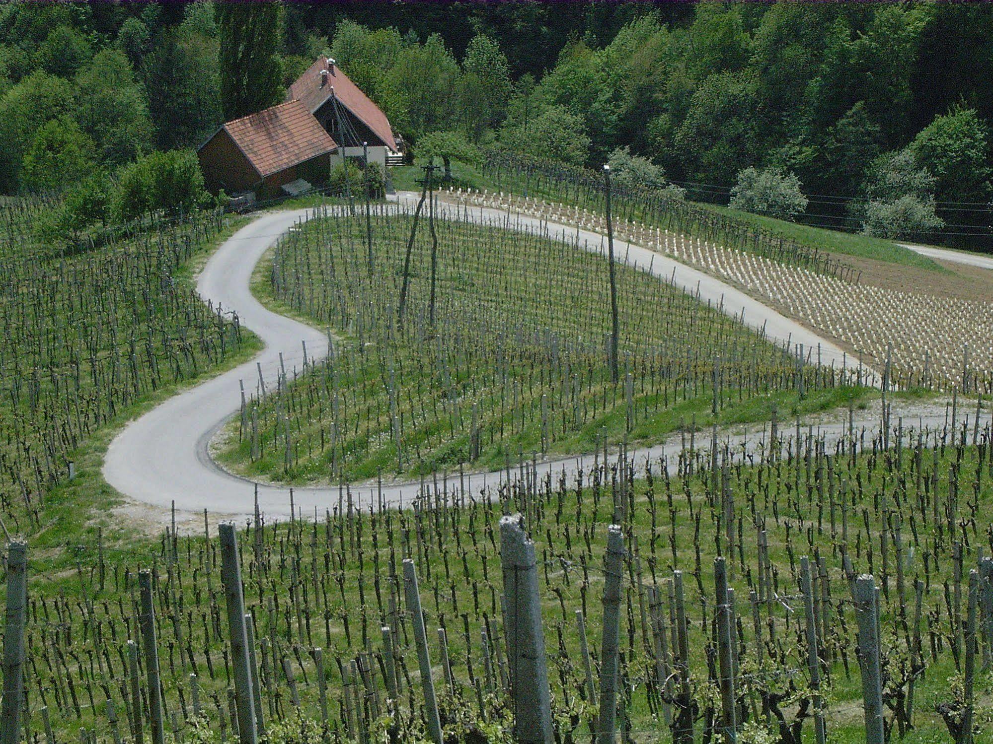 Weingut Primus Suedsteiermark シュピールフェルト エクステリア 写真