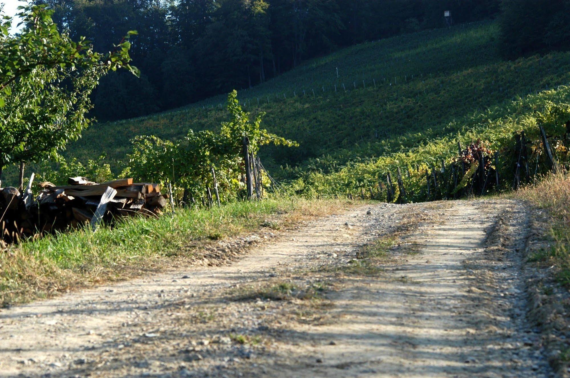 Weingut Primus Suedsteiermark シュピールフェルト エクステリア 写真