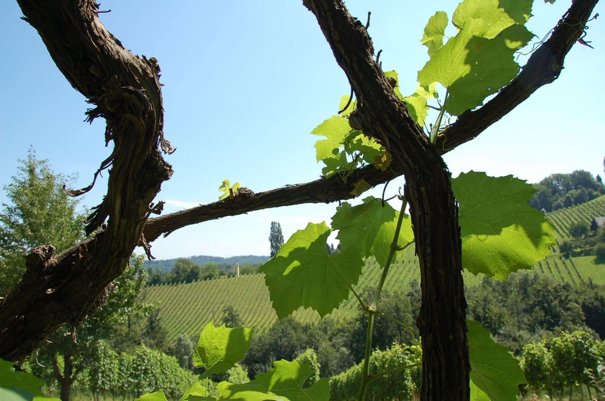 Weingut Primus Suedsteiermark シュピールフェルト エクステリア 写真