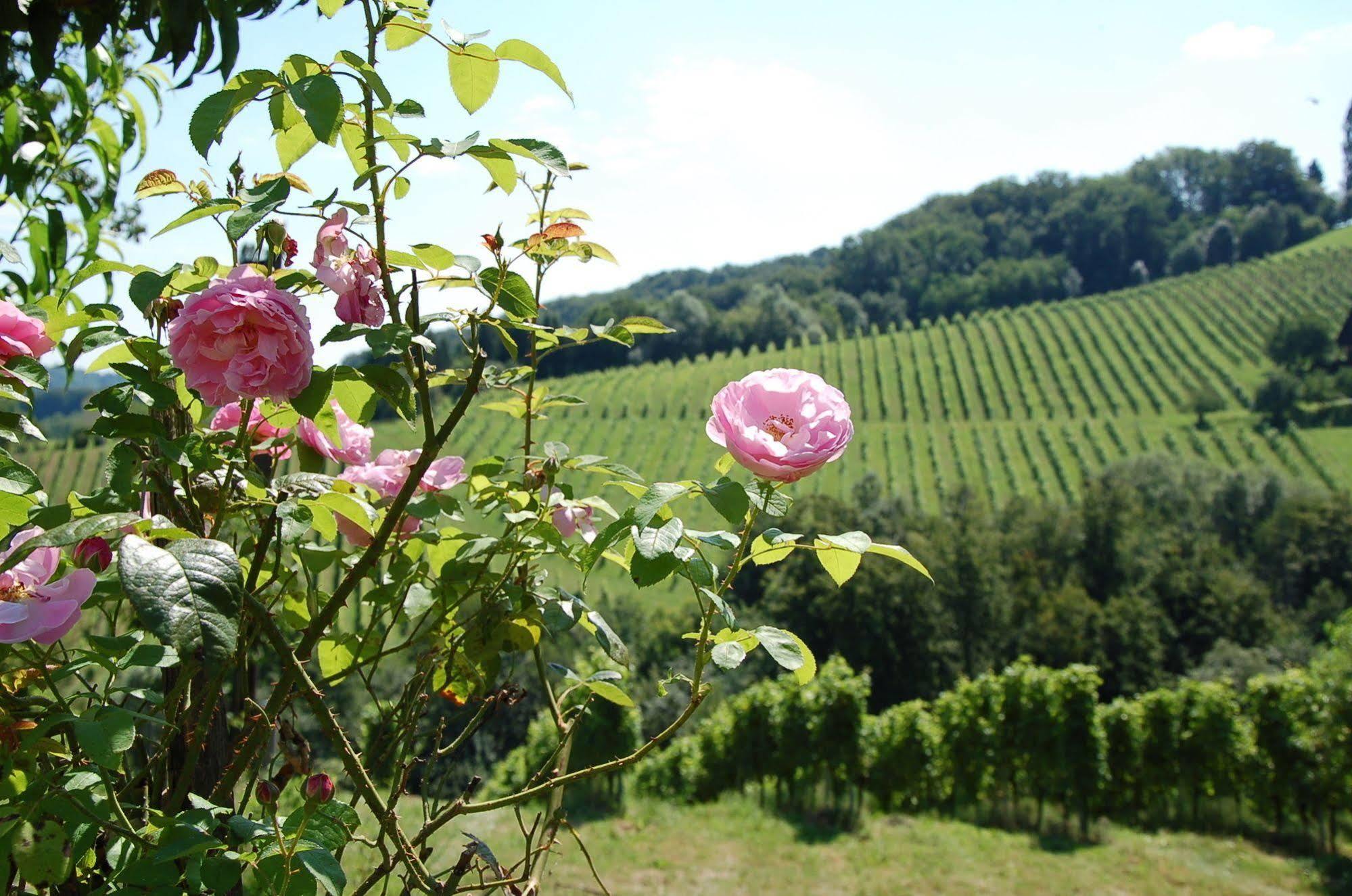Weingut Primus Suedsteiermark シュピールフェルト エクステリア 写真